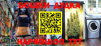 индика Будённовск