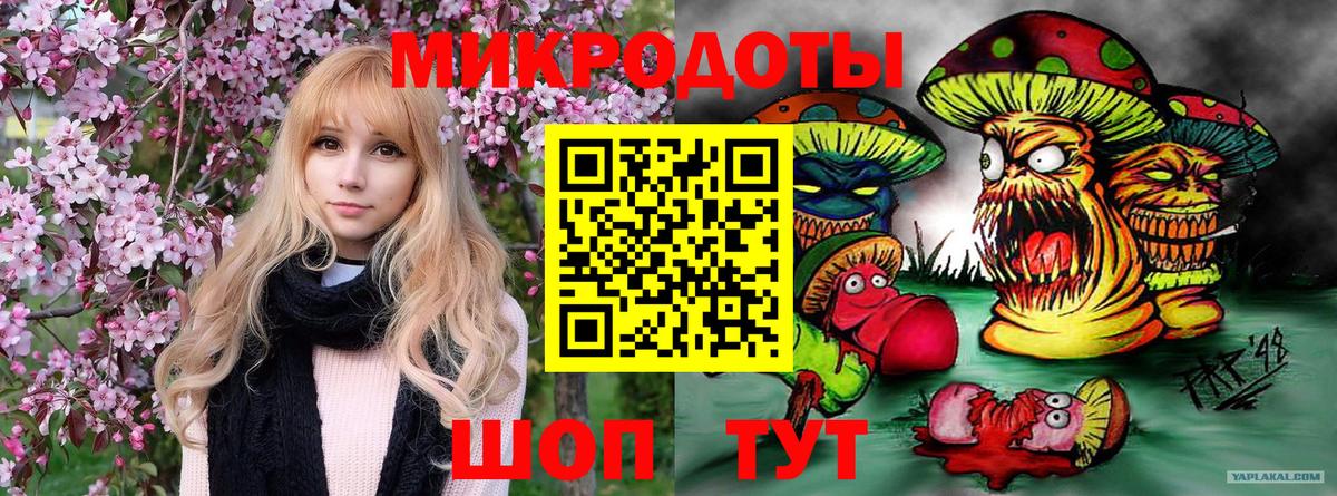 Псилоцибиновые грибы мухоморы Азов