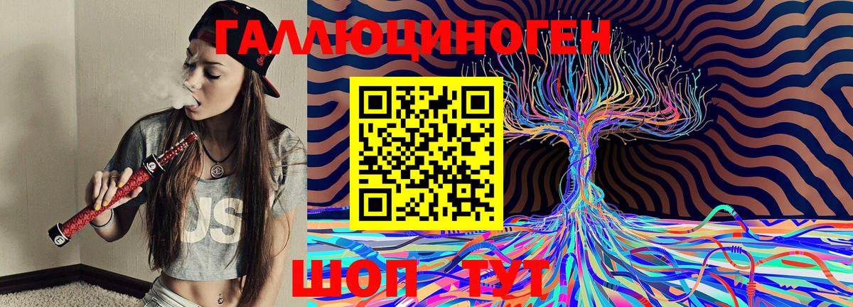 Азов  Галлюциногенные грибы мицелий  Псилоцибиновые грибы MAGIC MUSHROOMS  где купить   Вход с VPN 